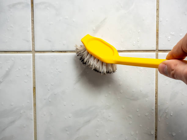 Home Mold Removal in Spring Glen, UT