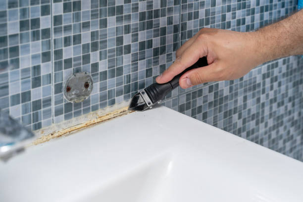 Best Affordable Mold Removal  in Spring Glen, UT